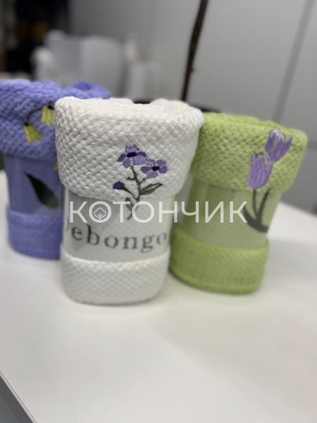 Мікрофіброві рушники 3 штуки 50х90см Colorful Home 501-141 2580 фото КОТОНЧИК