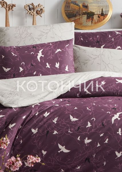 Постільна білизна First Choice Ranforce Freedom Damson 0181 фото КОТОНЧИК