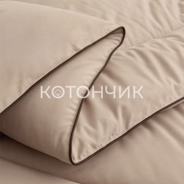 Зимнее одеяло экопух Colorful Home  евро 028-6 3113 фото КОТОНЧИК